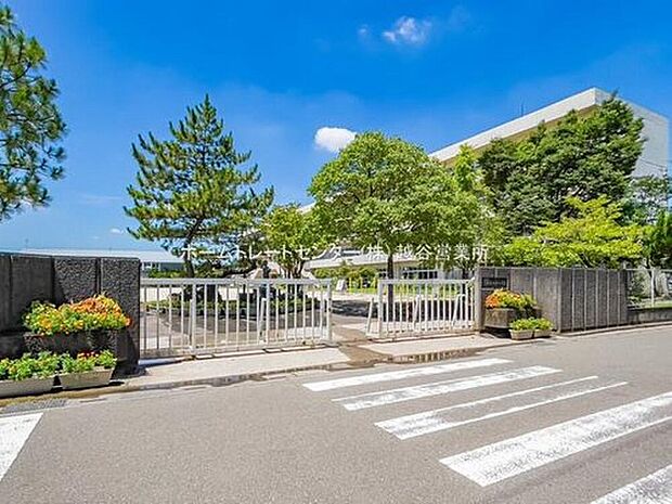 吉川市立栄小学校(約400m)