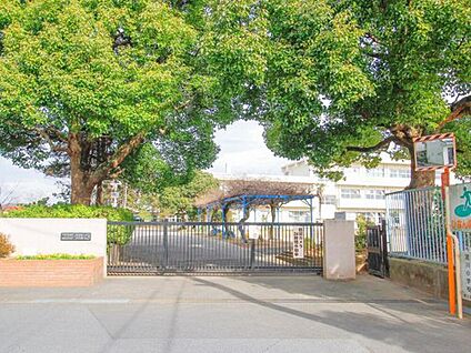 春日部市立宮川小学校 505ｍ(徒歩7分)