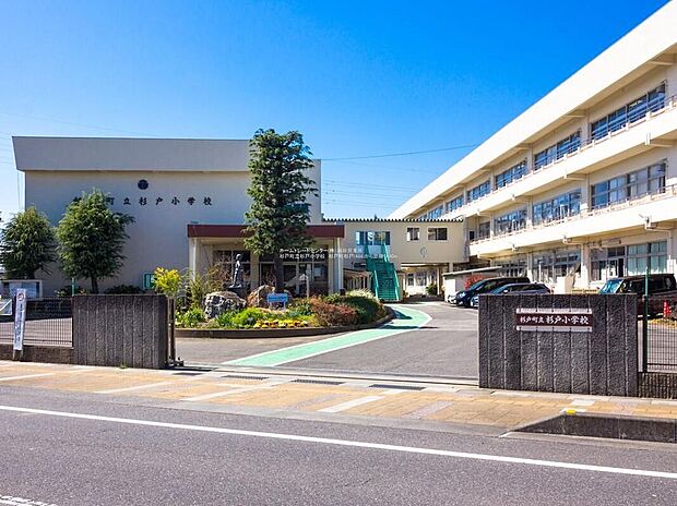 杉戸町立杉戸小学校（約1,100m）