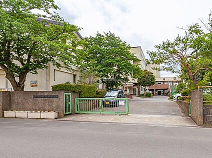 越谷市立弥栄小学校 800m(徒歩10分)