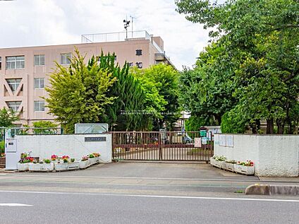 草加市立新栄中学校 1420m 　(徒歩18分)