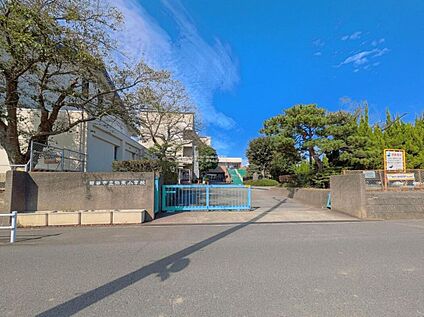 越谷市立弥栄小学校 800m(徒歩10分)