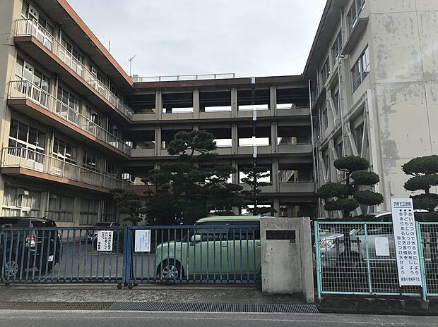 新涯小学校（約500m）