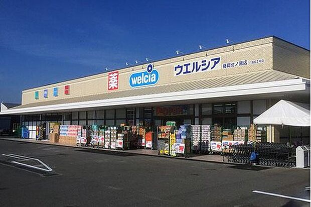 ウエルシア藤岡北ノ原店（約700m）