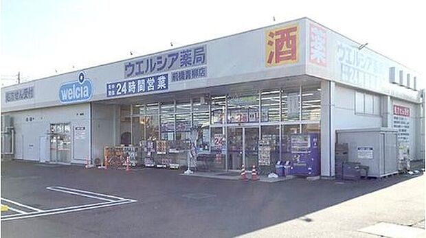 ウエルシア前橋青柳店（約690m）