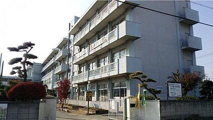 高崎市立片岡中学校 850ｍ(徒歩11分)