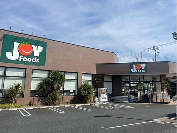 ジョイフーズ前橋南店（約810m）