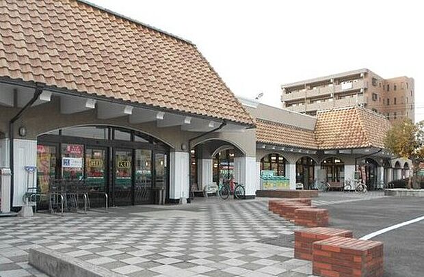 とりせん新前橋店（約900m）