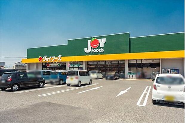 ジョイフーズ高崎剣崎店（約910m）