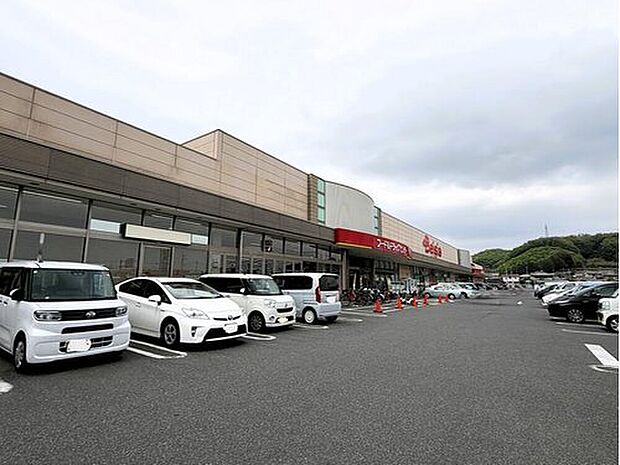 ベイシア富岡店（約800m）