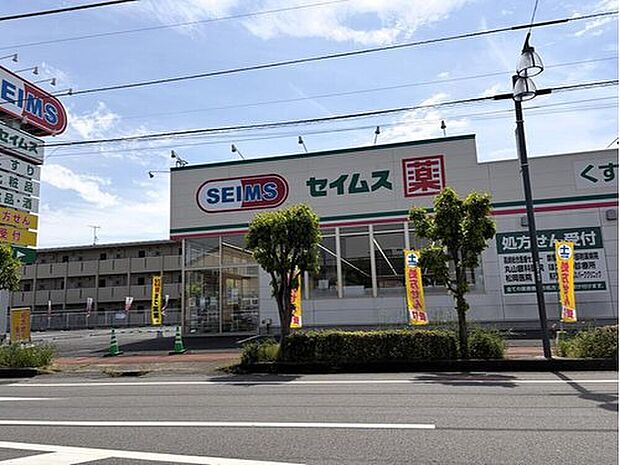 ドラッグセイムス高崎片岡町店(約1,008m)