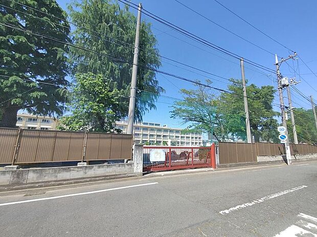 前橋市立城南小学校(約300m)