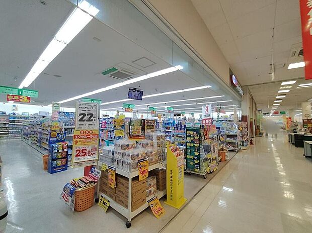 ドラッグセイムスフレッセイ大利根店(約750m)
