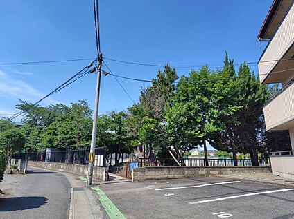 高崎市立佐野小学校 1170ｍ(徒歩15分)