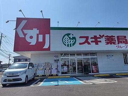 スギドラッグ剣崎店 1322m(徒歩17分)