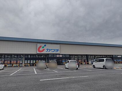 カワチ薬品藤岡店 1595m(徒歩20分)