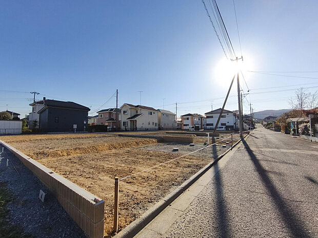 現地写真 11月撮影