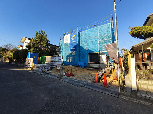 現地写真　11月撮影　