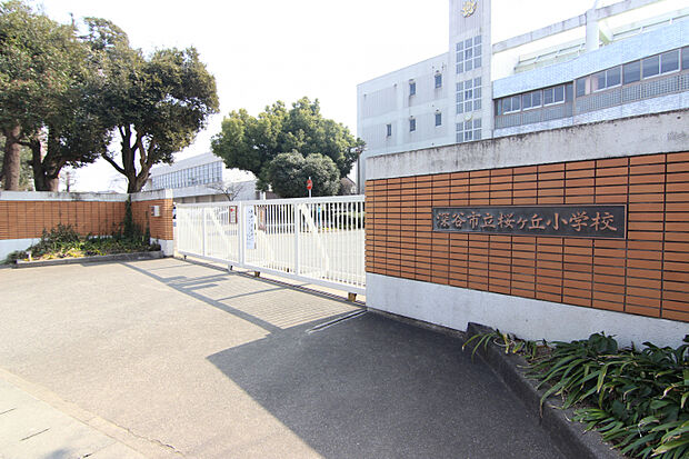 桜ヶ丘小学校　