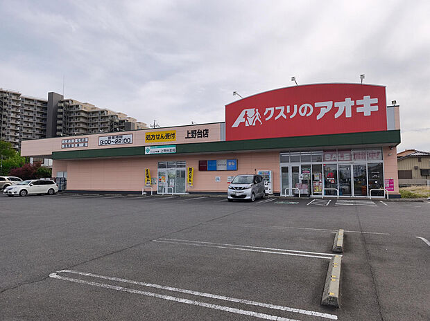 クスリのアオキ上野台店（約400m）