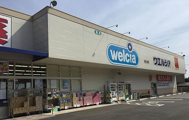 ウエルシア清水有東坂店（約550m）