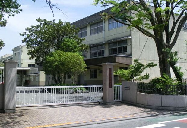 横内小学校(約700m)