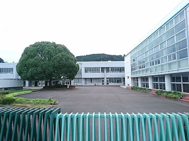 金谷小学校（約1,000m）