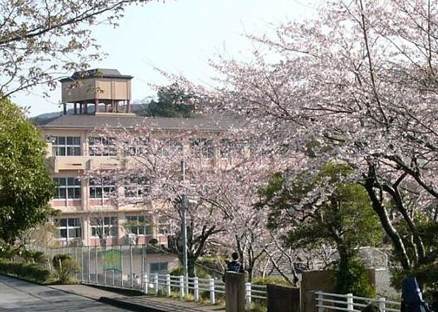 富士岡中学校（約650m）