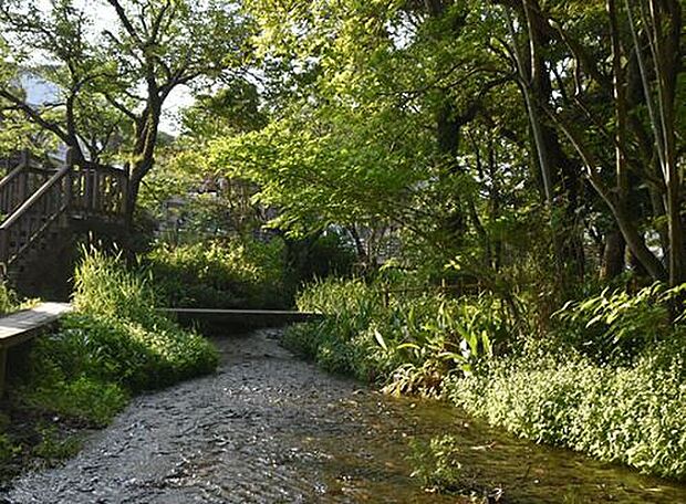 水の苑緑地（約1,511m）