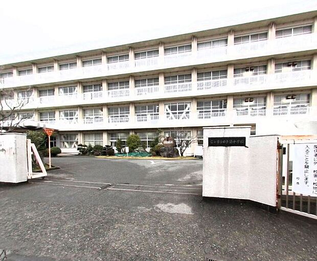 田子浦中学校（約342m）