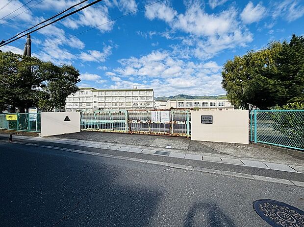 飯田小学校（約500m）