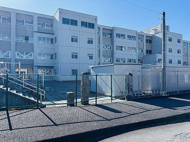 大宮小学校（約1,255m）