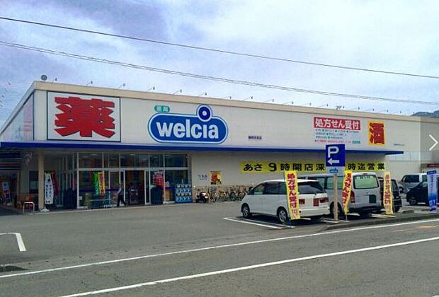 ウエルシア羽鳥店(約500m)