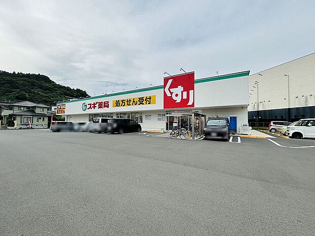 スギ薬局手越店（約1,000m）