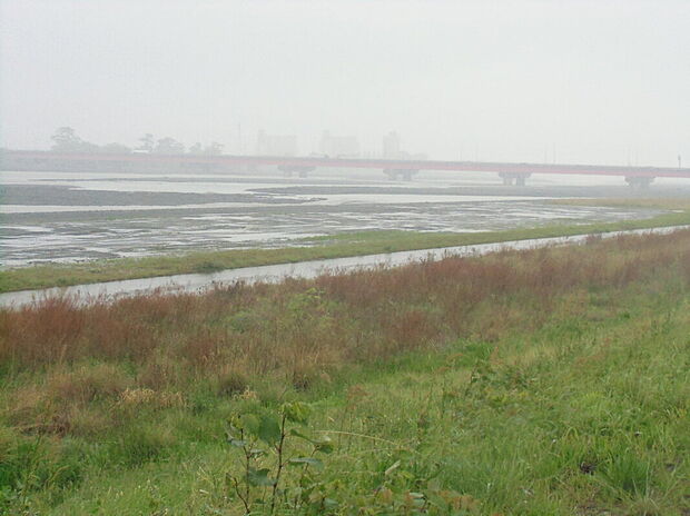 中野新田スポーツ公園(約350m)