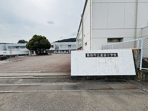 金谷小学校（約1,600m）