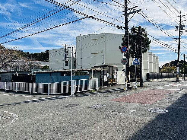 藤岡小学校(約750m)