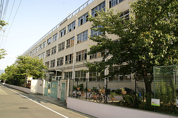 東大阪市立西堤小学校(約1m)