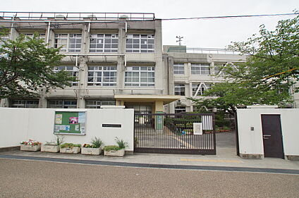 金岡中学校 340ｍ(徒歩約5分)