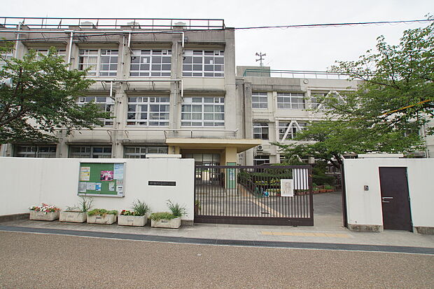 金岡中学校(約340m)
