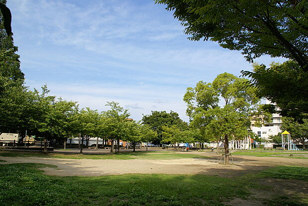 金岡公園(約150m)