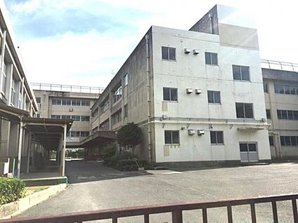 松戸市立新松戸南中学校 450m(徒歩6分)