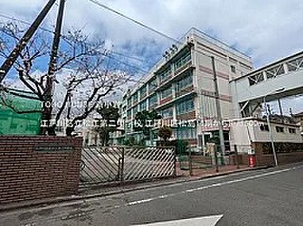 江戸川区立松江第二中学校（約500m）