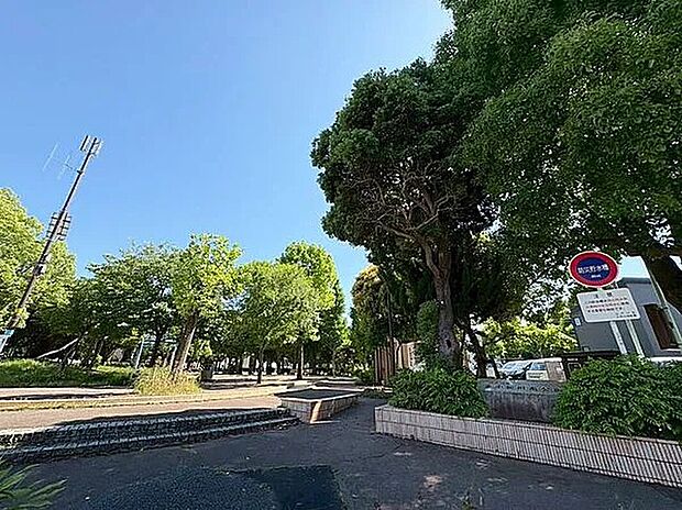 東小松川南公園（約500m）
