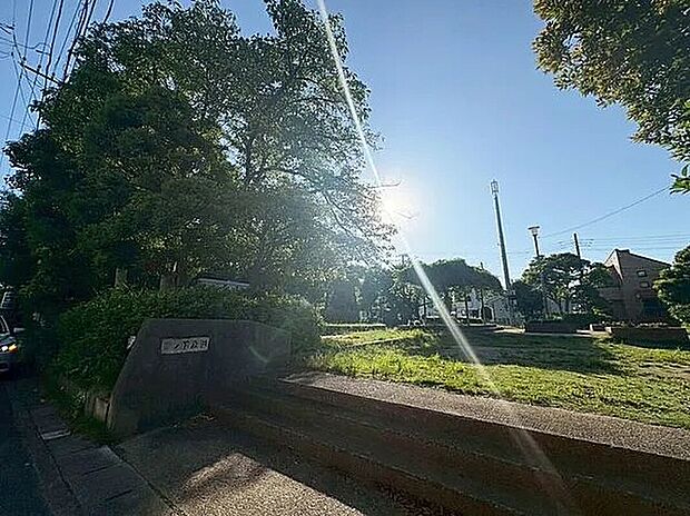 西ノ下公園(約300m)