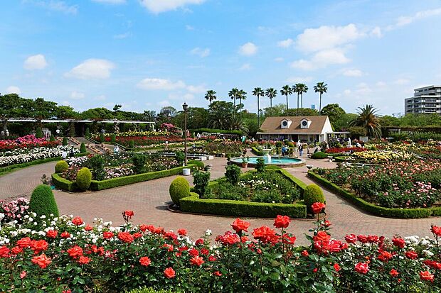 谷津バラ園（約1,300m）