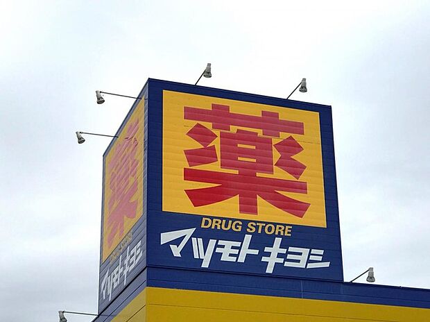 ドラッグストア マツモトキヨシ原木中山店(約750m)
