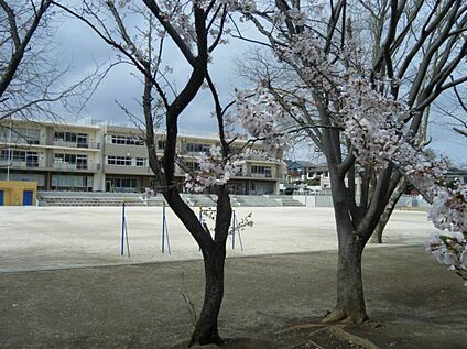 八千代市立八千代台東小学校 300m