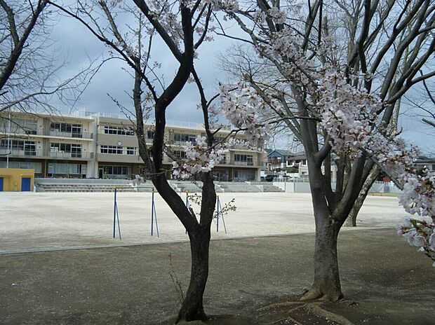 八千代市立八千代台東小学校(約300m)