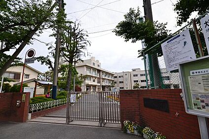横浜市立大道小学校 約750ｍ